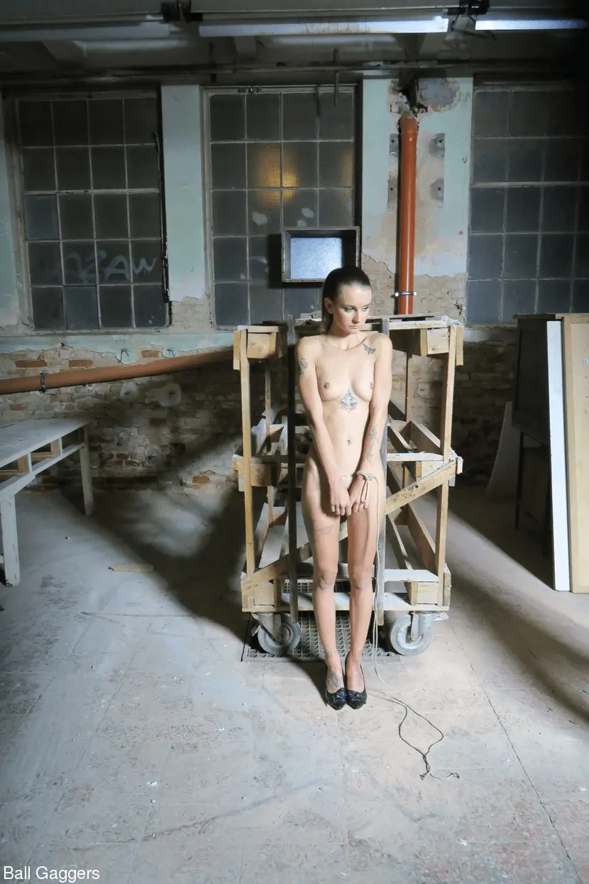 Kink Partners 'ニップルクランプとバウンド' 主演 Adelle Unicorn (写真 6)