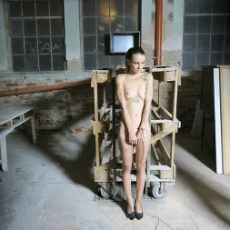 Adelle Unicorn に 'Kink Partners' ニップルクランプとバウンド (サムネイル 6)