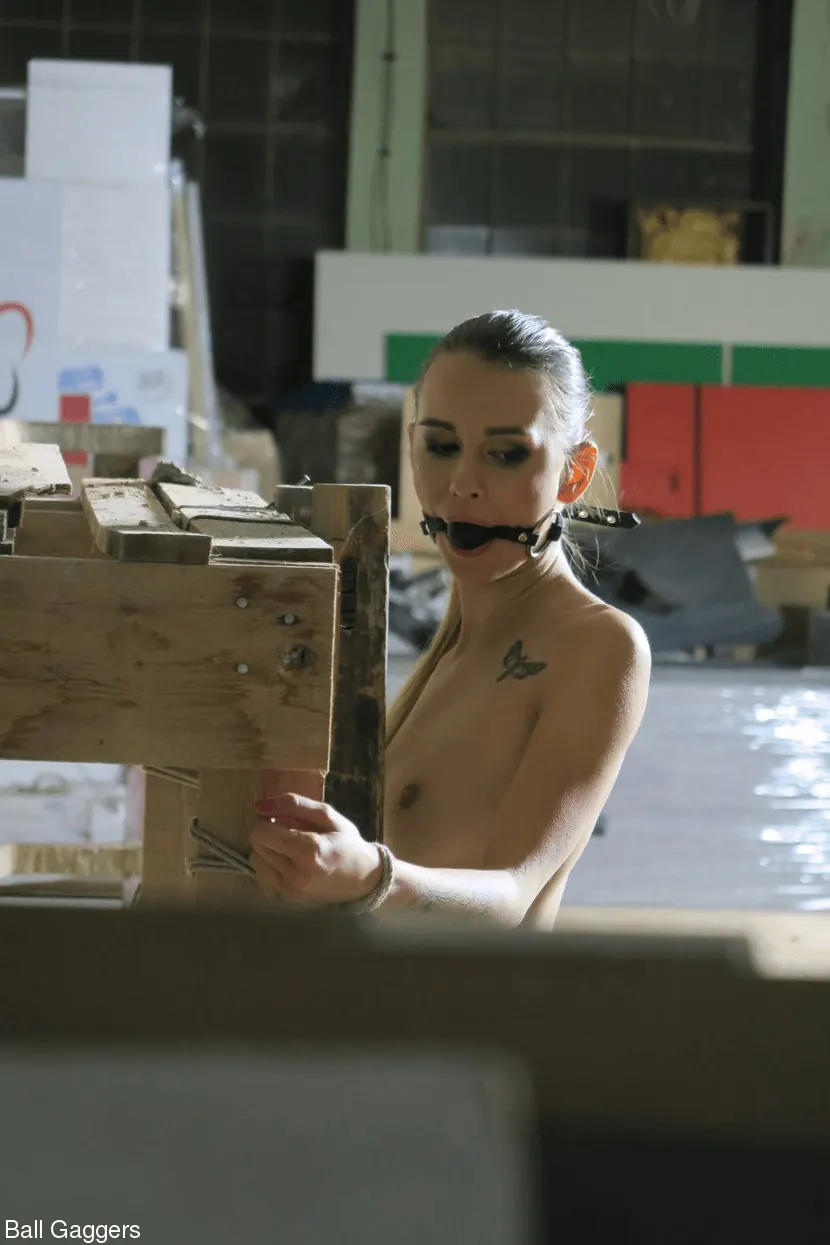 Kink Partners 'Nipple clamps and bound' starring Adelle Unicorn (Photo 72)