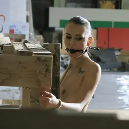 Adelle Unicorn に 'Kink Partners' ニップルクランプとバウンド (サムネイル 72)