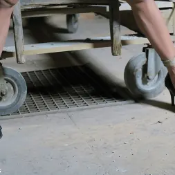 Adelle Unicorn に 'Kink Partners' ニップルクランプとバウンド (サムネイル 126)