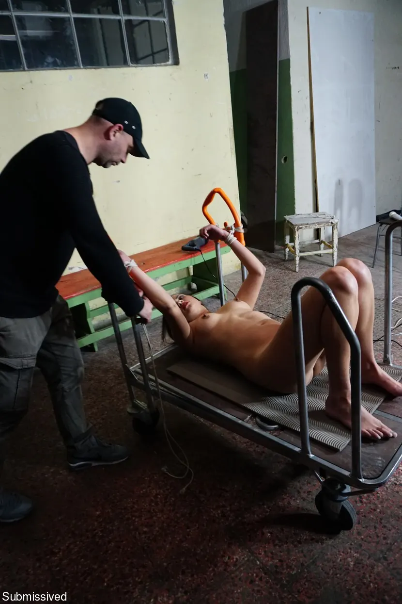 Adina Rimers に 'tied up for machine' from 'Kink Partners' (写真 18) Kink Partners 'tied up for machine' 主演 Adina Rimers (写真 18)