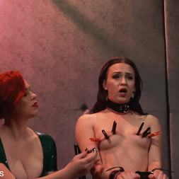 Alex More に 'Kink Partners' アレックスはもっと苦しんでいる (サムネイル 15)