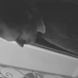 Alura Jenson in 'Kink Partners' Burglary in Progress (Part 1 of 2) (Thumbnail 2)