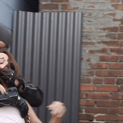 Amber Rayne に 'Kink Partners' 投資回収は雌犬です (サムネイル 2)