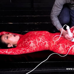 Anon Boy 1 in 'Kink Partners' Red Hot and Restrained (Thumbnail 6)
