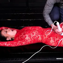 Anon Boy 1 in 'Kink Partners' Red Hot and Restrained (Thumbnail 6)