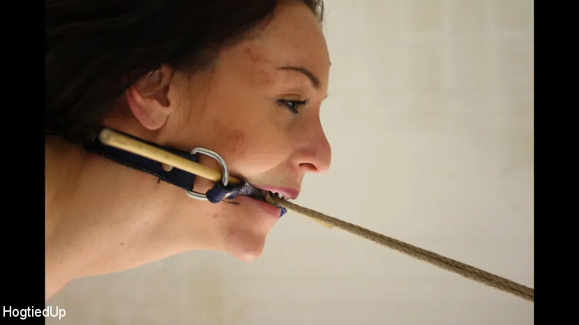 Kink Partners 'シンディは抱きしめられ、切り裂かれ、剥がされる' 主演 Ar (写真 1)