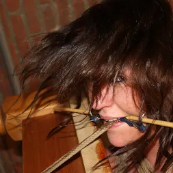 Ar en Cindy es atada, amordazada y desnudada (foto 13) Ar en 'Kink Partners' Cindy es atada, amordazada y desnudada (Miniatura 13)