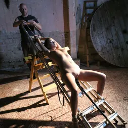 Arjan en 'Kink Partners' Daphne Klyde amordazada y penetrada con un consolador grande (Miniatura 3)