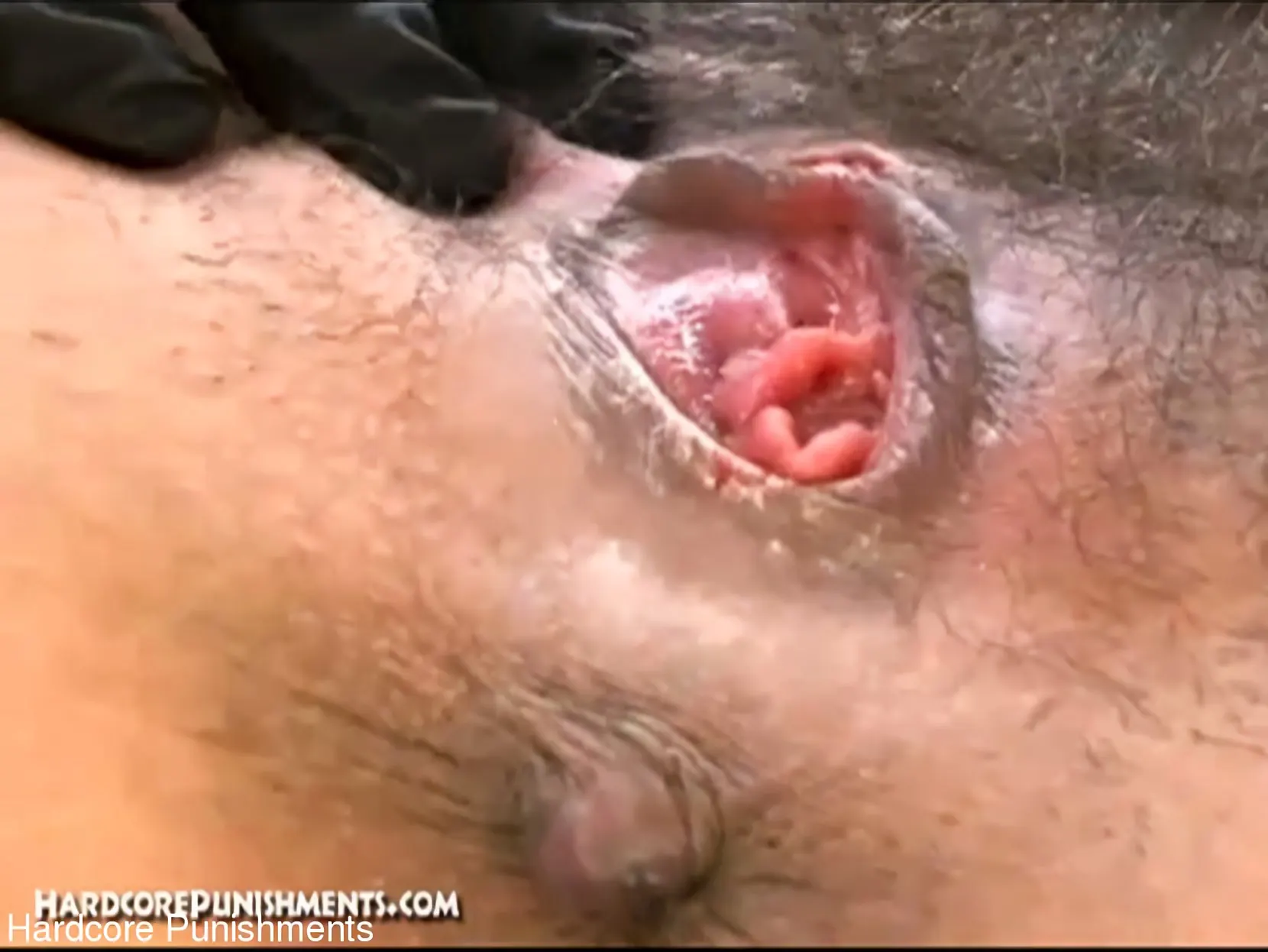 Kink Partners 'Hardcore Punishments: Asari Kobayashi 2' starring Asari Kobayashi (Photo 25)