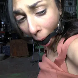 Ashley Ocean en SOLA, SOBRESALIENTE Y ATADA (foto 14) Ashley Ocean en 'Kink Partners' SOLA, SOBRESALIENTE Y ATADA (Miniatura 14)