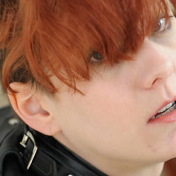 Ava に 'Kink Partners' 私の赤毛のファックおもちゃ (サムネイル 8)