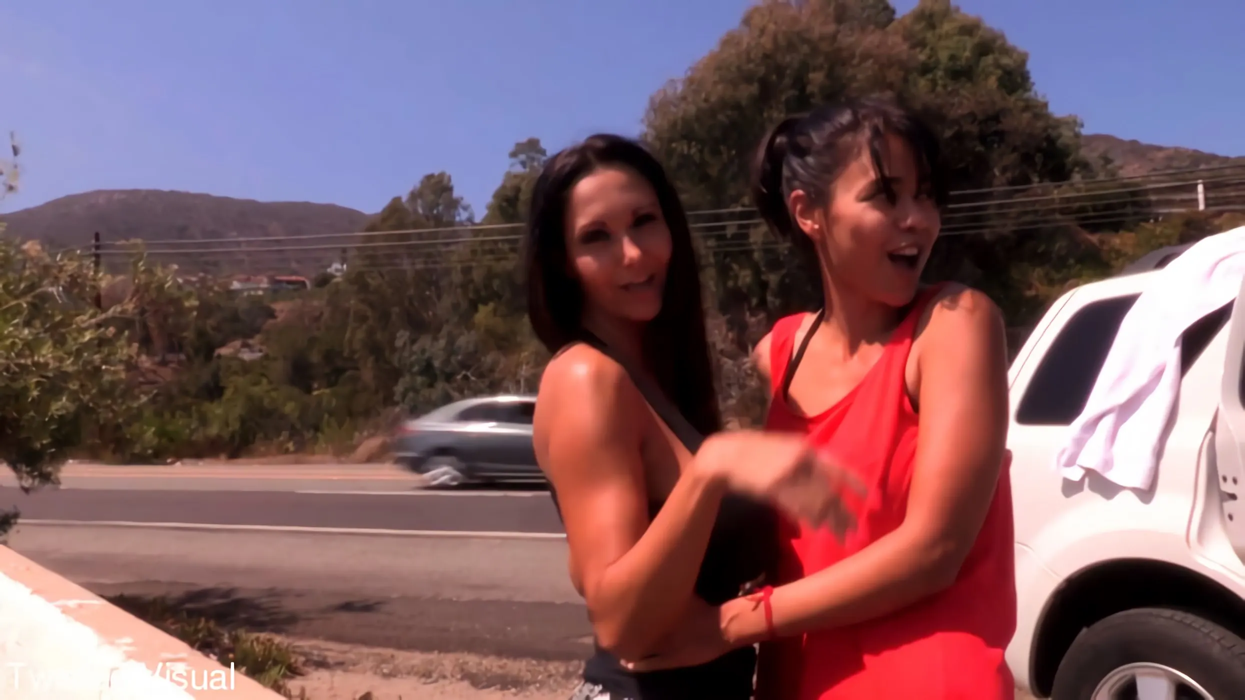 Kink Partners 'Ava And Dana Have Car Sex' starring Ava Addams (Photo 25)