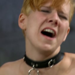 Ava Mir-Ausziehen in 'Kink Partners' The Girl Who Talked Too Much (Thumbnail 9)