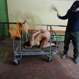 Barbara Beiber en 'Kink Partners' Barbara está siendo castigada y complacida. (Miniatura 3)