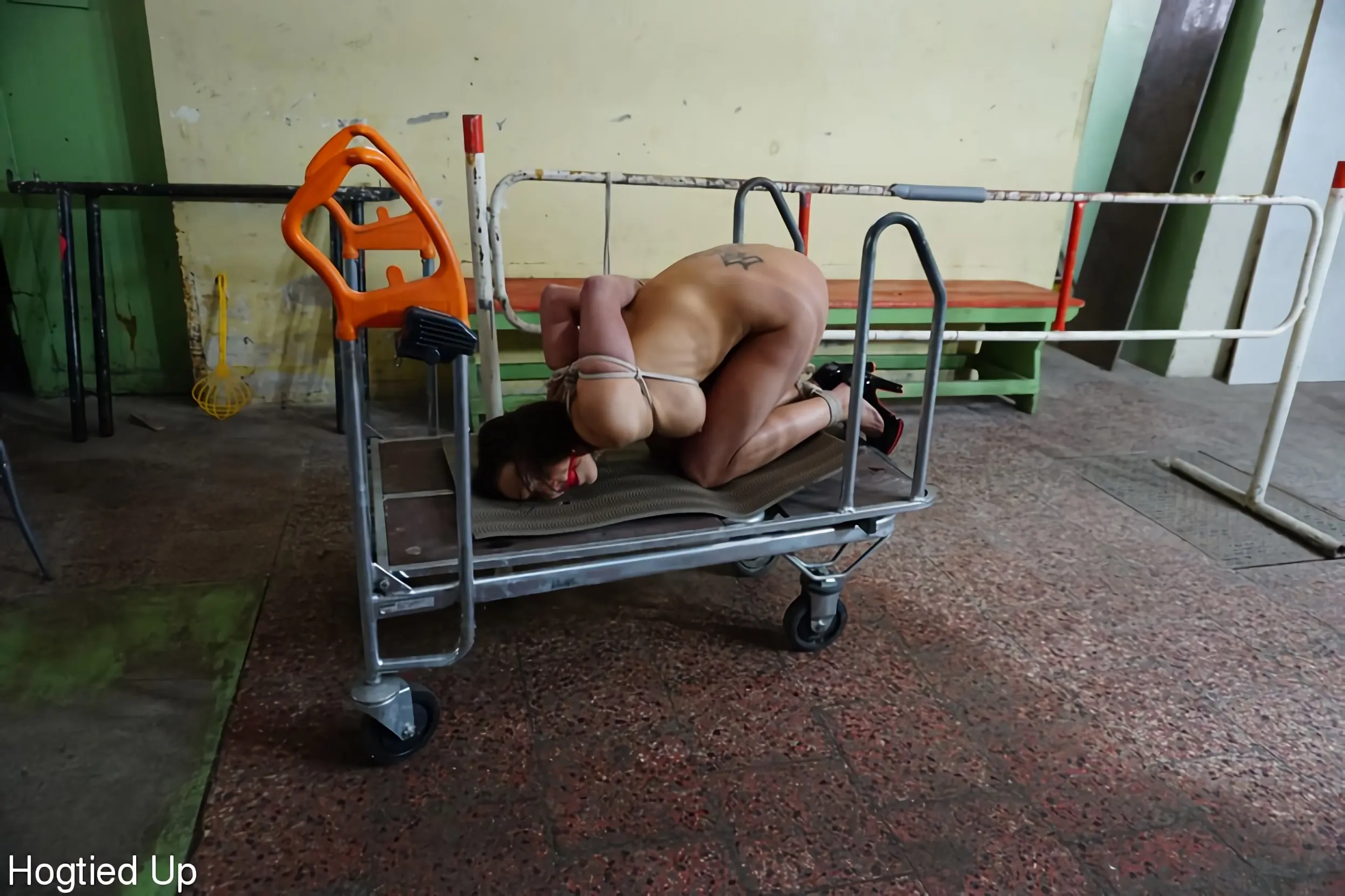 Kink Partners 'Barbara está siendo castigada y complacida.' protagonizando Barbara Beiber (foto 7)