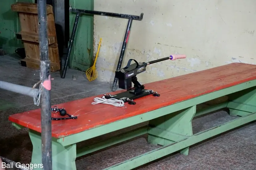 Kink Partners '苦労バーバラマシンファック' 主演 Barbara Beiber (写真 1)