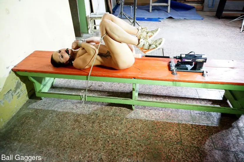 Barbara Beiber in 'STRUGGLING BARBARA MACHINEFUCKED' from 'Kink Partners' (Photo 24) Kink Partners 'STRUGGLING BARBARA MACHINEFUCKED' starring Barbara Beiber (Photo 24)