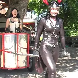 Baroness Bijou に アブソルートポニー (写真 4) Baroness Bijou に 'Kink Partners' アブソルートポニー (サムネイル 4)