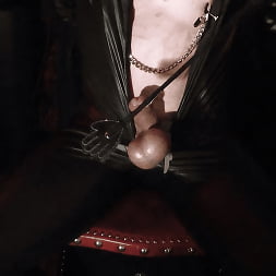 Baroness Mercedes に 'Kink Partners' スプリッツバーボットクリップ1の政治 (サムネイル 5)