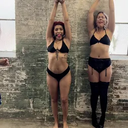 Blake LaVista に 'Kink Partners' 競売 (サムネイル 1)