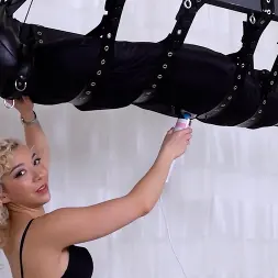 Brat に 'Kink Partners' バイブレーターvsザッパー (サムネイル 1)