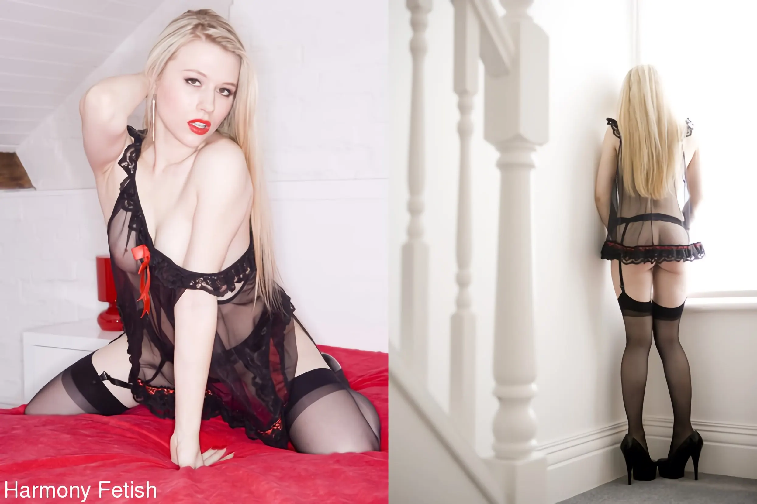 Kink Partners 'Perras calientes y húmedas' protagonizando Cate Harrington (foto 12)