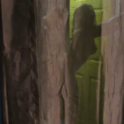 Cherie DeVille に 'Kink Partners' ステップママの中でカミングについて考えてはいけません (サムネイル 9)