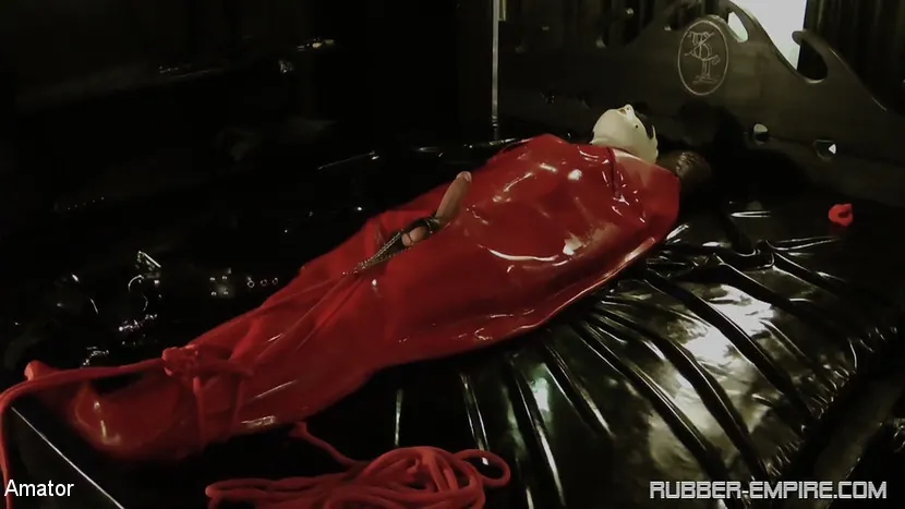 Kink Partners 'シャイアン・ド・ミュリエル:ゴム・シシー(3/3)' 主演 Cheyenne de Muriel (写真 20)