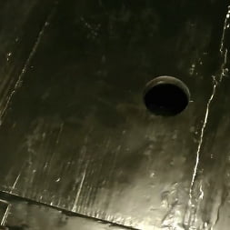 Cheyenne de Muriel に 'Kink Partners' ボックス (サムネイル 3)