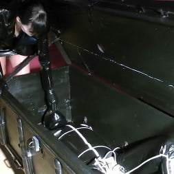 Cheyenne de Muriel に 'Kink Partners' ボックス (サムネイル 6)