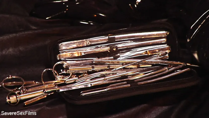 Kink Partners 'ギンプを引き出す(1/3)' 主演 Cybill Troy (写真 10)