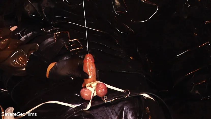 Kink Partners 'Bring out the Gimp (Part 1 of 3)' starring Cybill Troy (Photo 15)