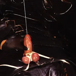 Cybill Troy に 'Kink Partners' ギンプを引き出す(1/3) (サムネイル 15)