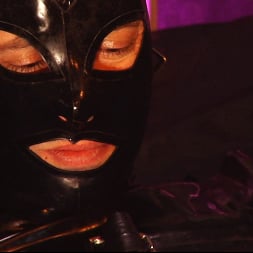 Cybill Troy in 'Kink Partners' Bring out the Gimp (Part 1 of 3) (Thumbnail 20)