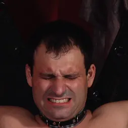 Cybill Troy に 愛人サイビルトロイは、ボールのそばに'em'を持っています! (写真 24) Cybill Troy に 'Kink Partners' 愛人サイビルトロイは、ボールのそばに'em'を持っています! (サムネイル 24)