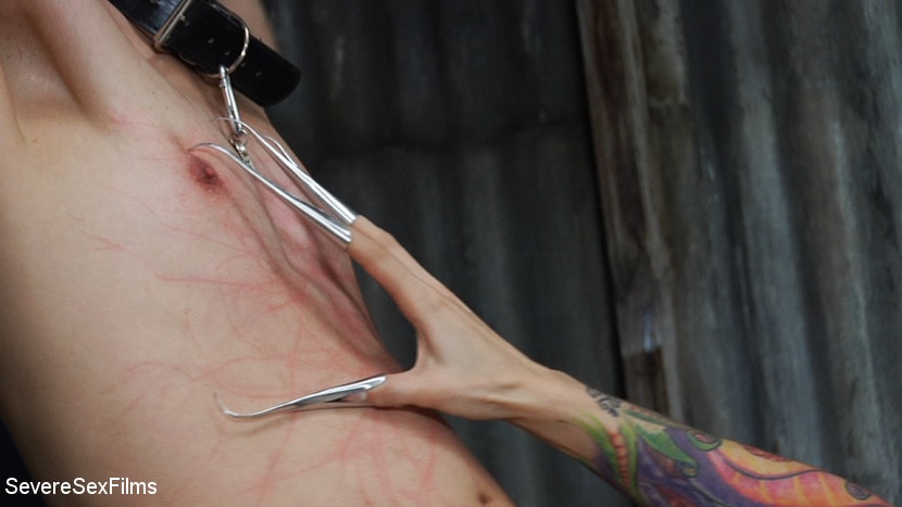 Kink Partners 'Mistress Cybill Troy is a Metallic Torment Queen' starring Cybill Troy (Photo 10)