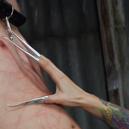 Cybill Troy に 'Kink Partners' 愛人サイビルトロイは金属の苦しみの女王です (サムネイル 10)