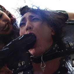 Cybill Troy に 'Kink Partners' 愛人サイビルトロイは金属の苦しみの女王です (サムネイル 19)