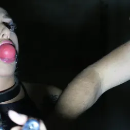 Daisy Lee in Daisy Trapped and Vibrated (Photo 3) Daisy Lee in 'Kink Partners' Daisy Trapped and Vibrated (Thumbnail 3)