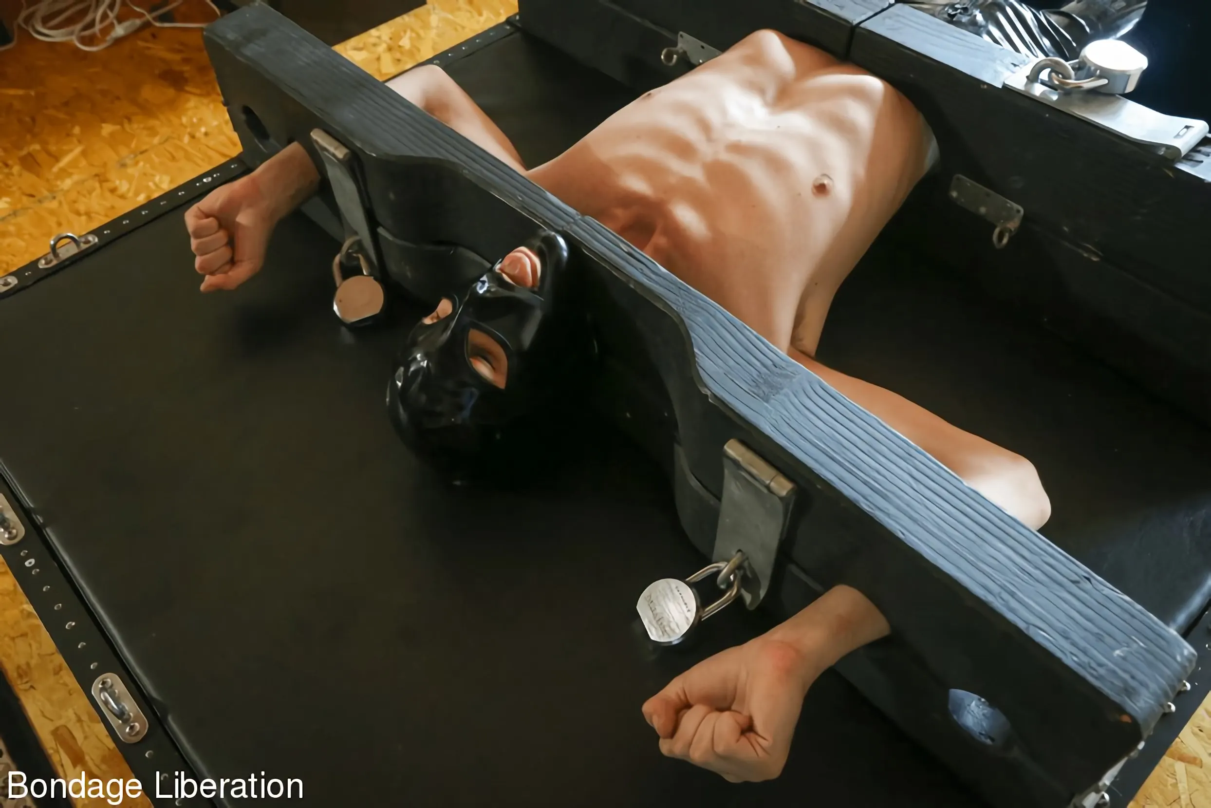 Kink Partners 'Un hazmerreír' protagonizando Elise Graves (foto 21)