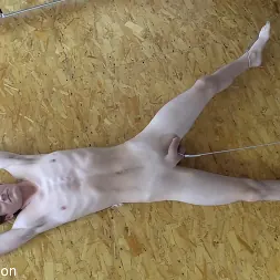 Elise Graves en 'Kink Partners' Entre un cuello y un saco testicular (Miniatura 12)