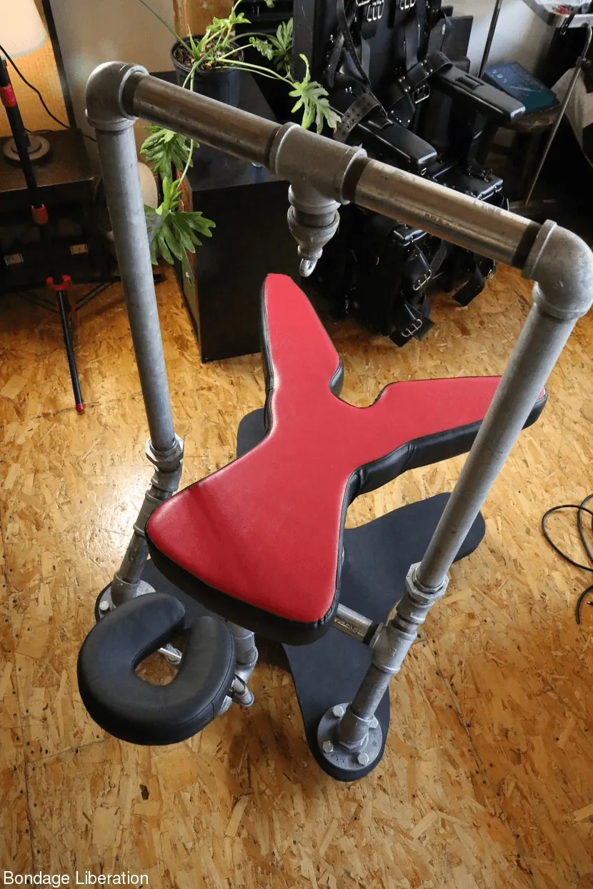 Kink Partners 'Cara de esclavitud follada' protagonizando Elise Graves (foto 10)