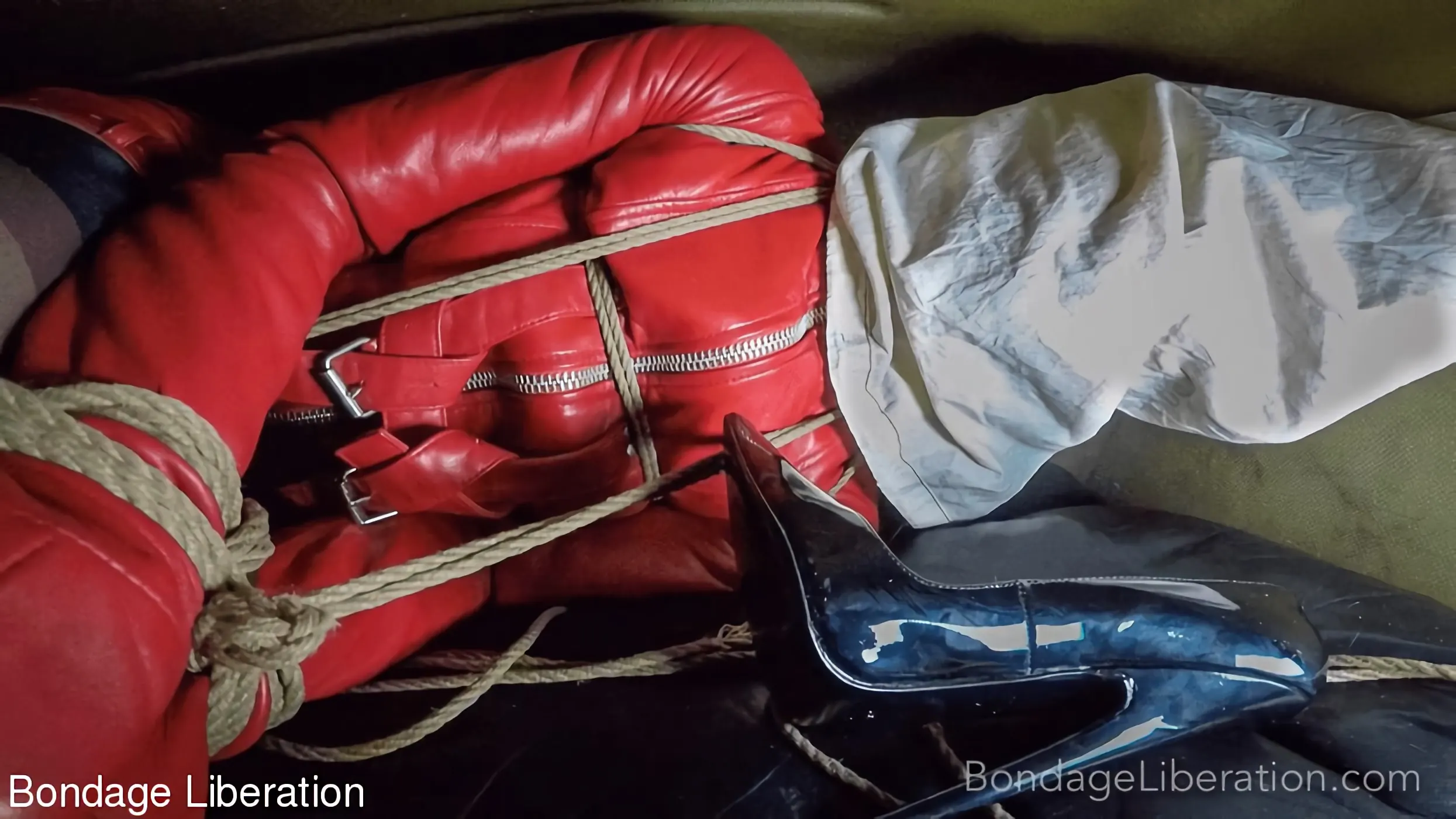 Kink Partners 'Audiencia cautiva' protagonizando Elise Graves (foto 2)