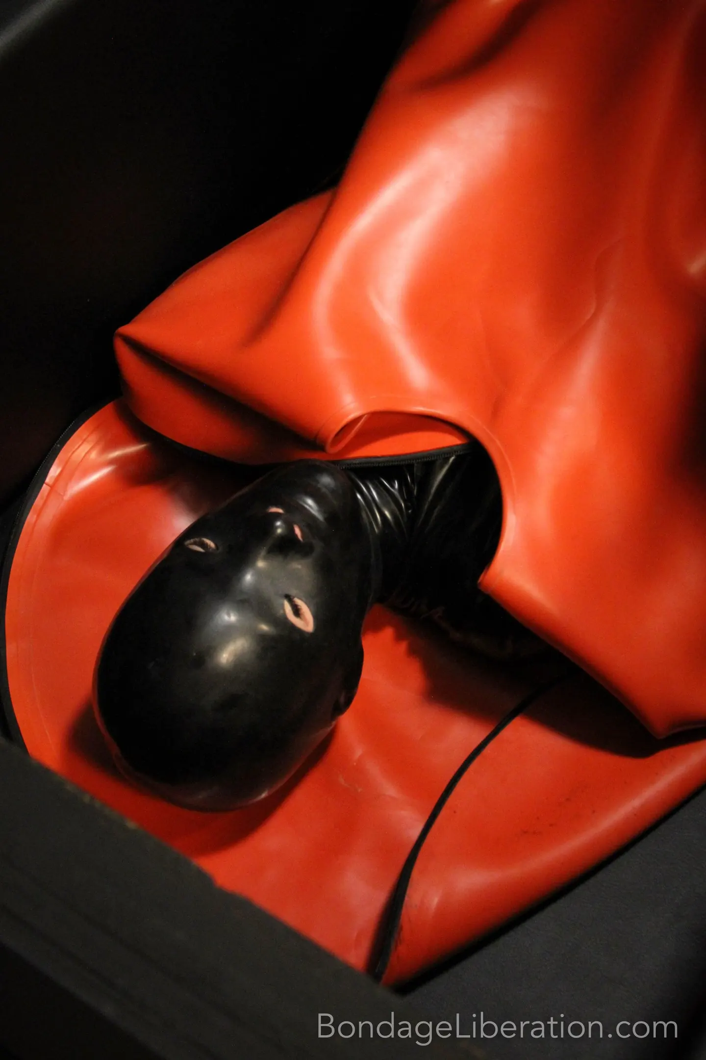 Kink Partners 'Carlota fetiche sepultado' protagonizando Elise Graves (foto 6)