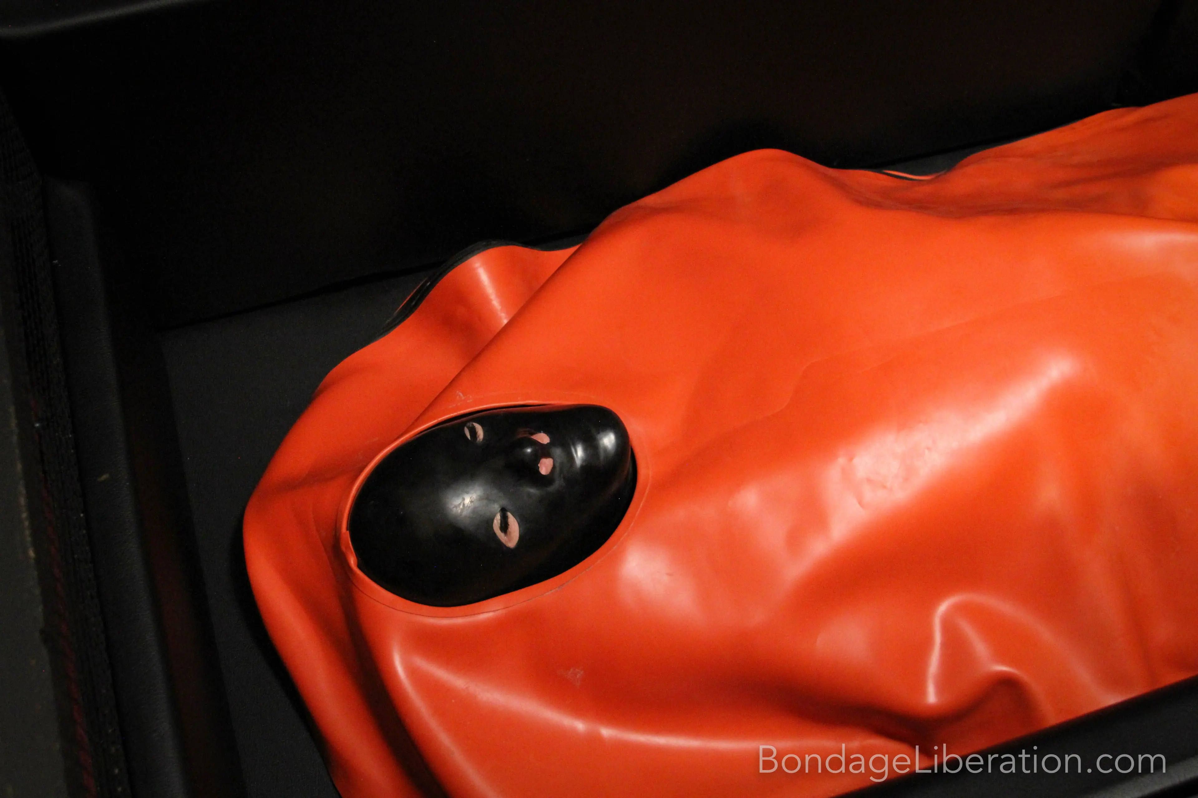 Kink Partners 'Carlota fetiche sepultado' protagonizando Elise Graves (foto 8)