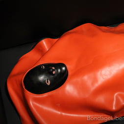 Elise Graves に 'Kink Partners' シャーロットフェチ埋葬 (サムネイル 8)