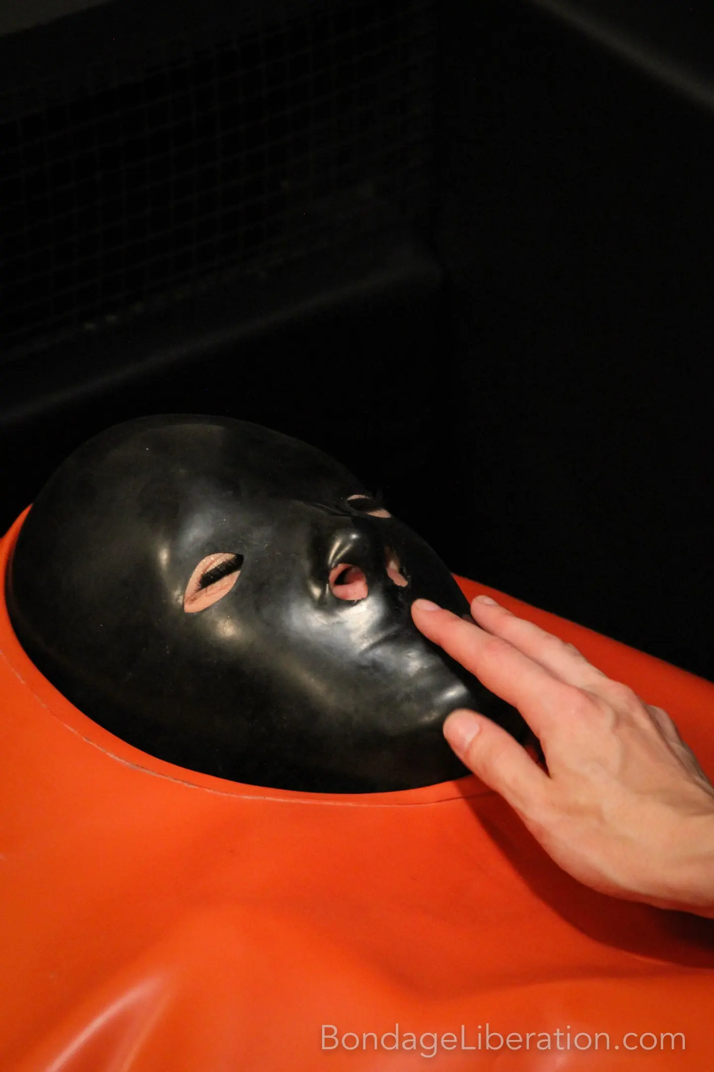 Kink Partners 'Carlota fetiche sepultado' protagonizando Elise Graves (foto 10)