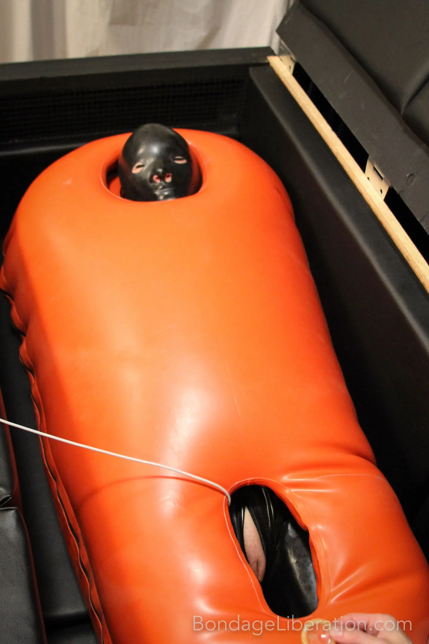 Kink Partners 'Carlota fetiche sepultado' protagonizando Elise Graves (foto 22)